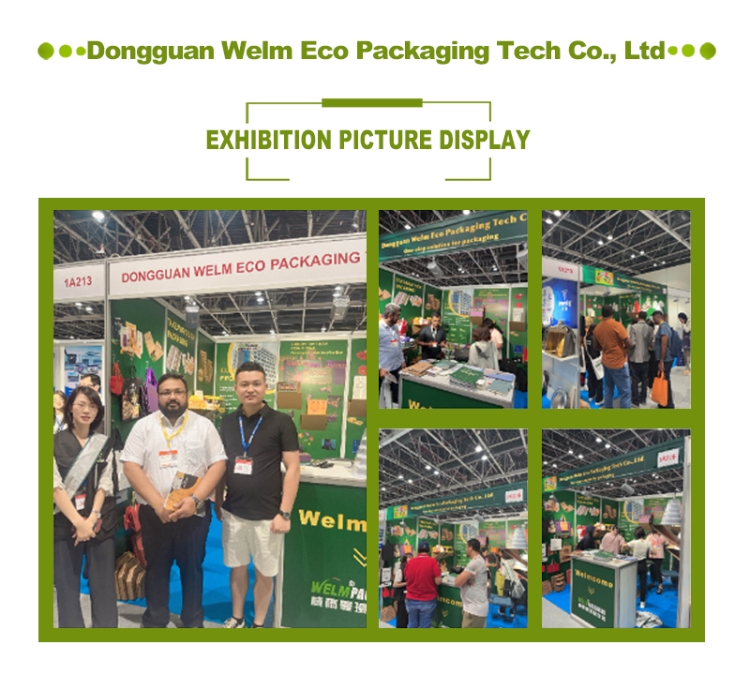 Bespoke Disposable Bulk Pizza Boxes Food Packaging Eco Friendly