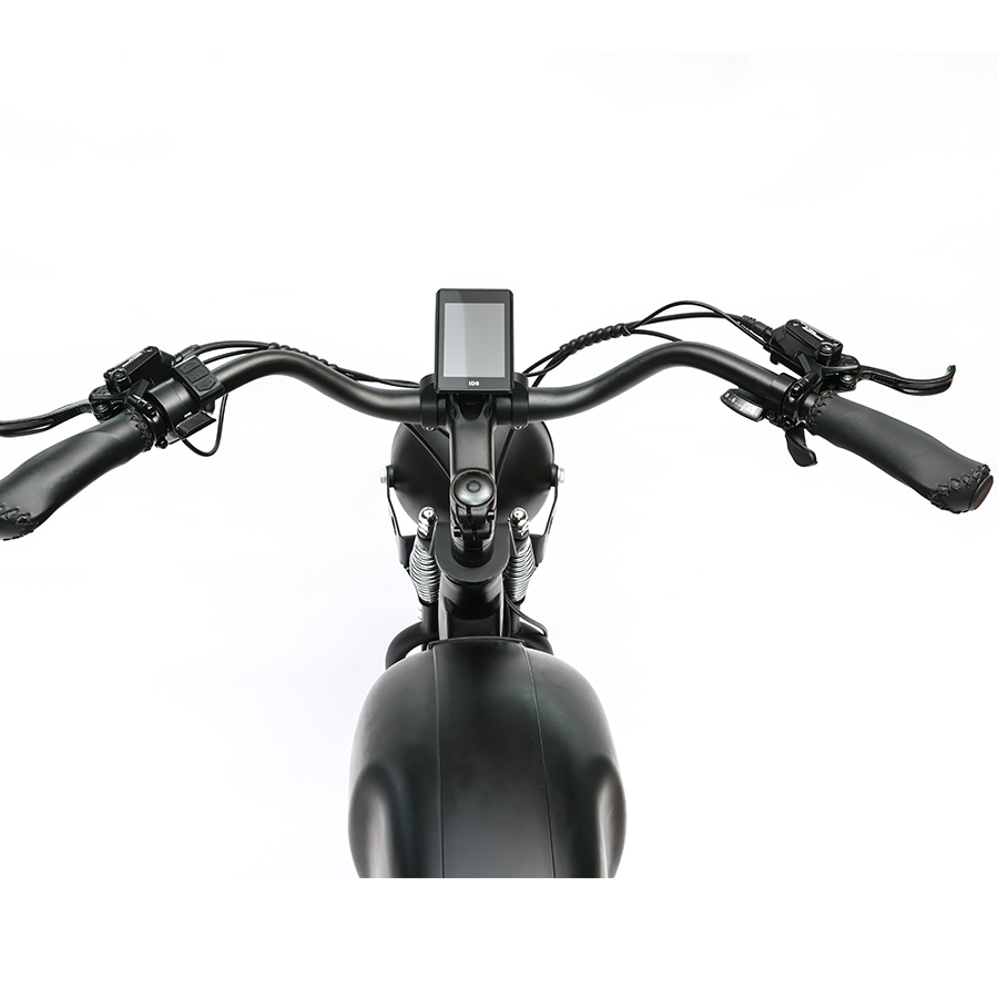 750W Brushless Motor Integrated Battery DOMANCA Vintage 26*4.0 Fat Tire Electric Bike