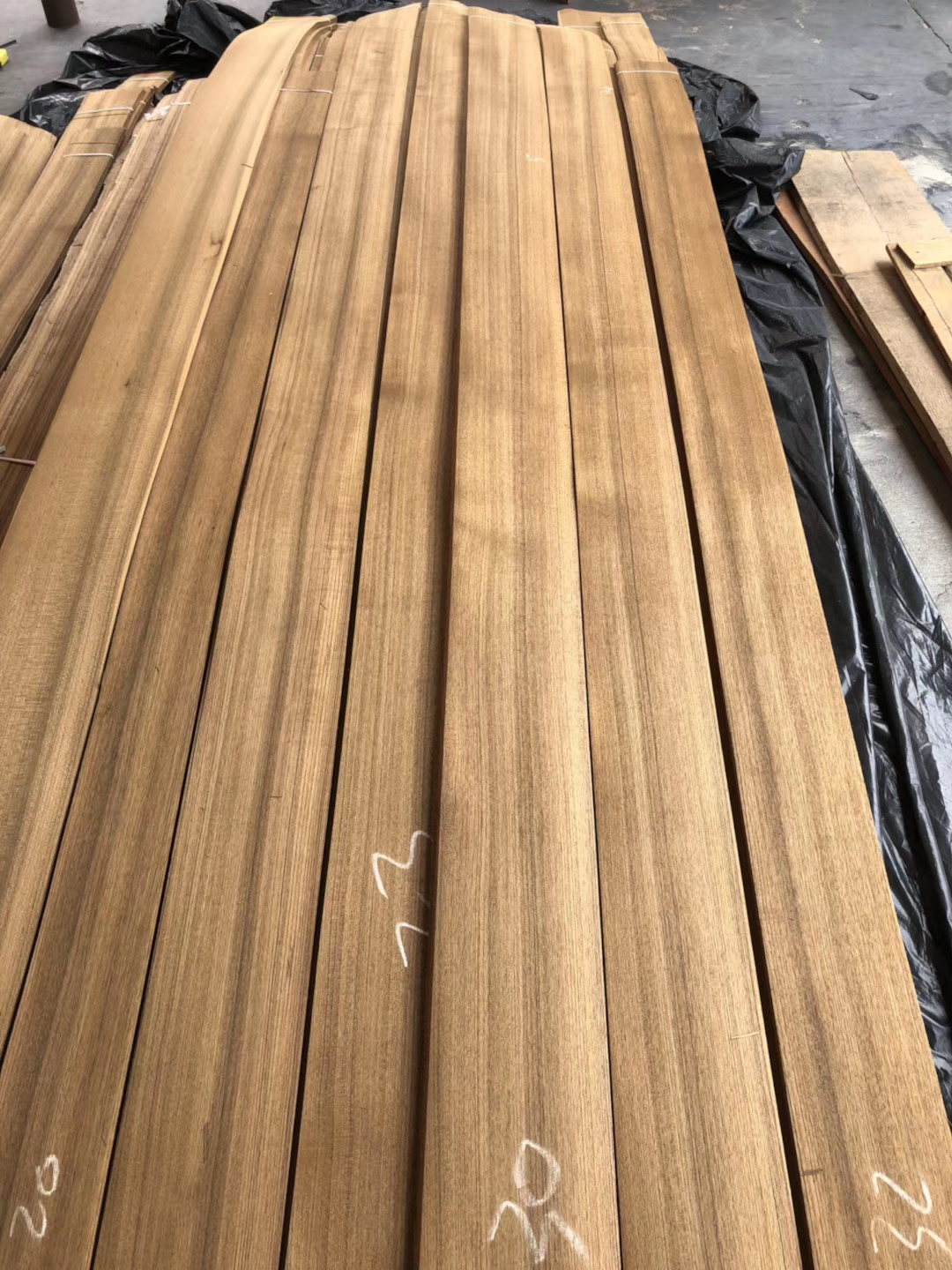 Factory Supply Natural Wood Veneer 0.2mm 0.3mm 0.5mm 1mm 2mm 3mm Natural Plain Cut Burma Teak Veneer