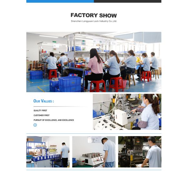 Parcel Locker Smart Lock Electronic High Security OEM Certified