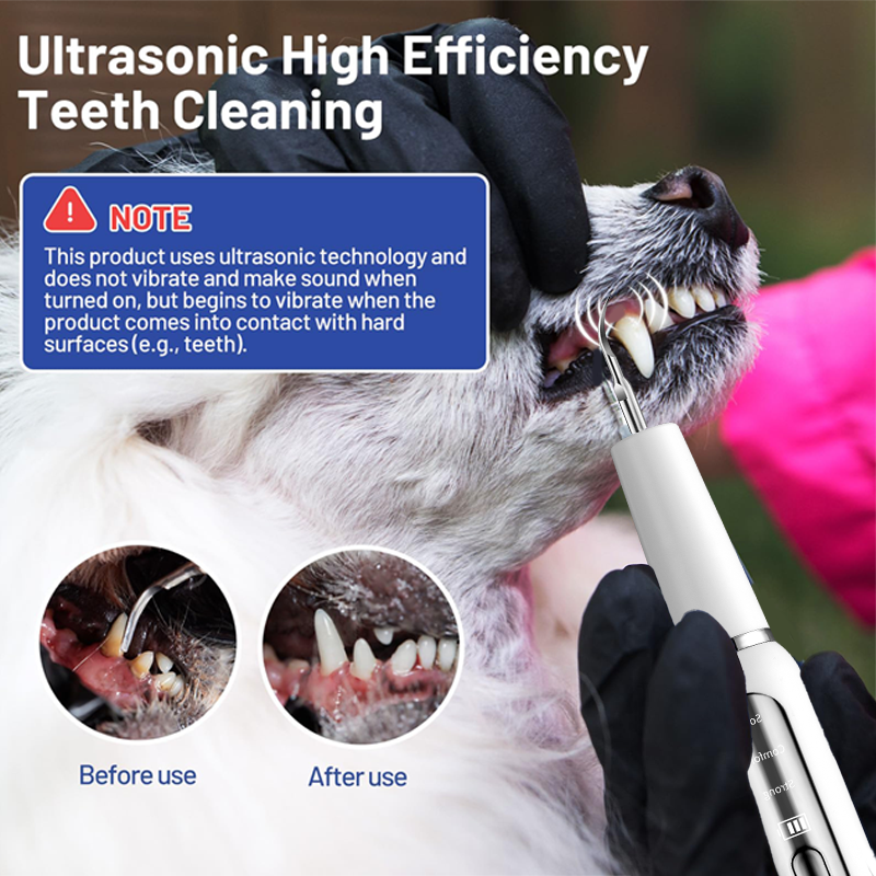 240V Dog Teeth Cleaning Ultrasonic Machine USB Ultrasonic Cleaner For Dogs Teeth