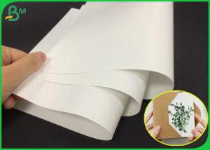 Buy cheap 80g White Color Matte Gloss Art Paper Roll For Making Company Brochure product