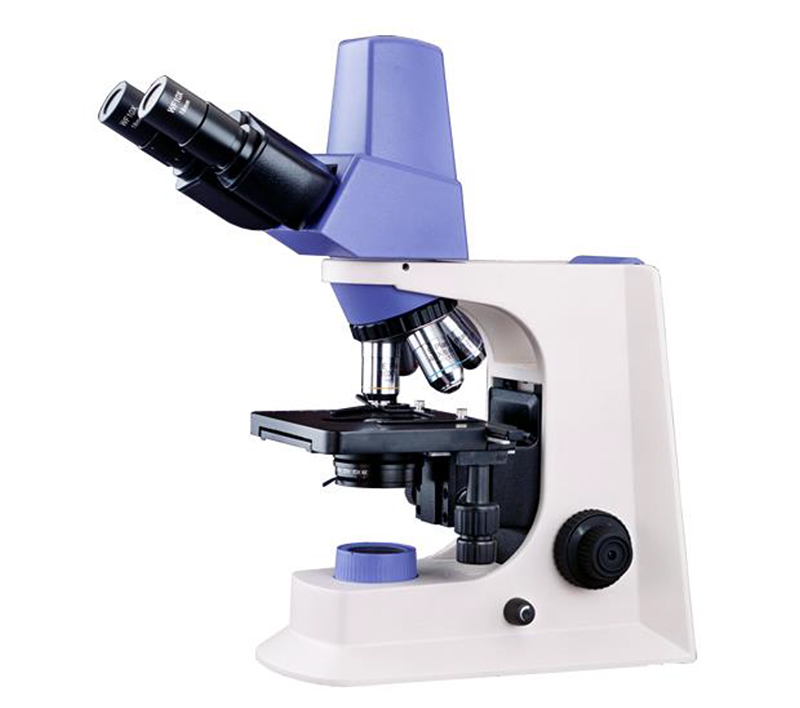 WF10X/20mm Seidentopf Binocular Digital Microscope A31.2601 With Mechanical Stage