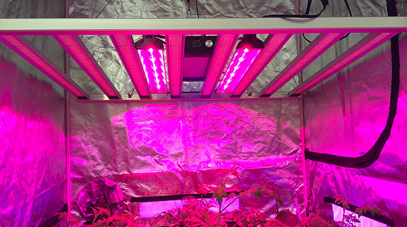 IR 730nm 660nm Red Light 2.5ft UV IR Grow Light For Fruiting Flowering