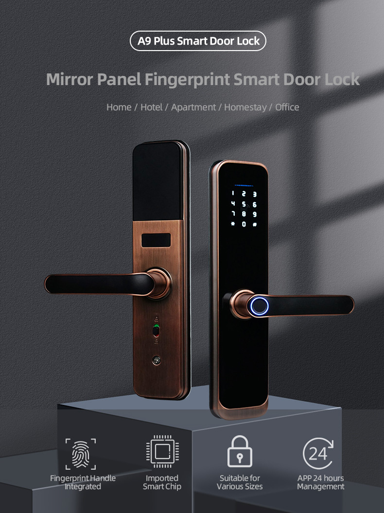 Remote Control Face Recognition Door Lock FCC Tuya Smart Door Lock