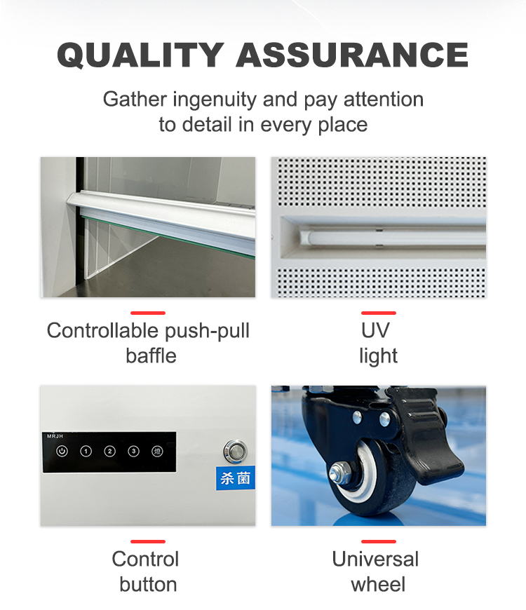 Clean Room Vertical Laminar Flow Hood Biosafety Cabinet Clean Bench Customized
