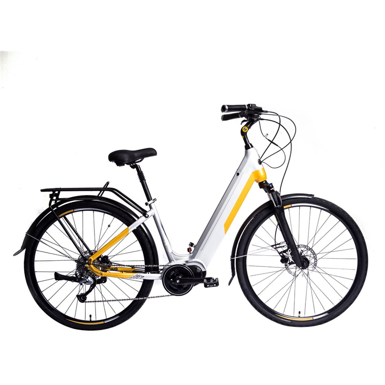 200 Watt 12 Inch Electric Bike Portable Battery 300 Lb Weight Limit 30 Km/H