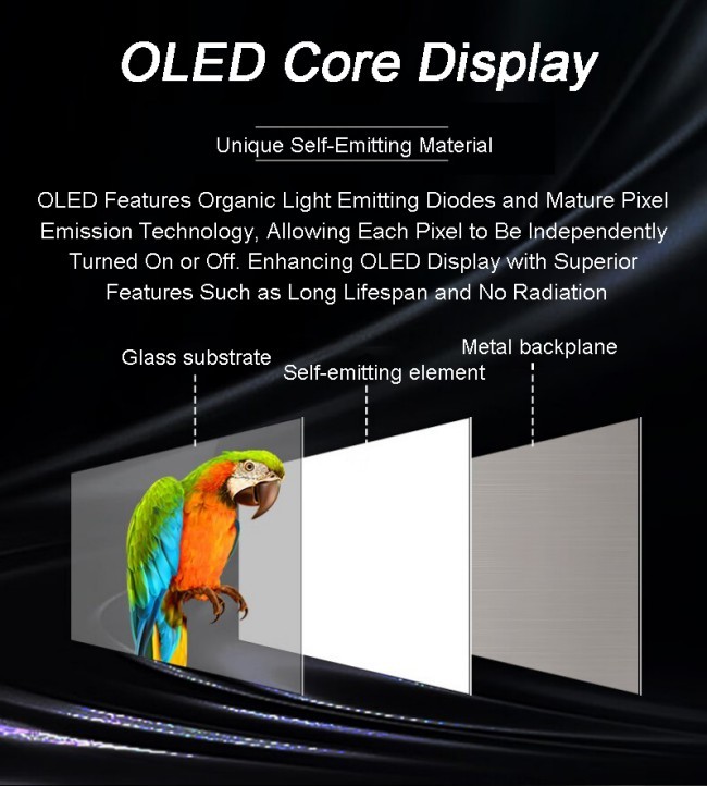 4K Transparent Oled Display Screen Flexible Oled Advertising Touch Screen With Panel Support 55 And 30 Inch For Window And Glass