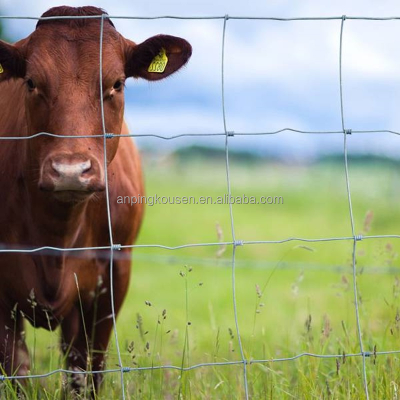 Galvanized Wire Protection Barrier Bastion Welded Wire Mesh Safety Defensive Barriers