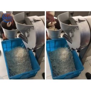 Large Multifunction Vegetable Cutting Machine Fruit Slicer Machine Orange