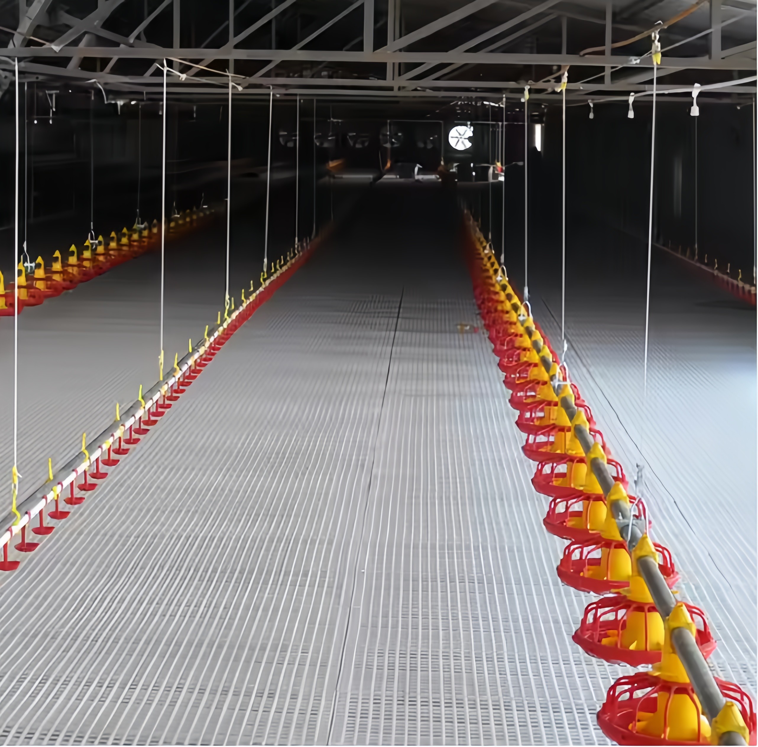 KXD Broiler Poultry Equipment Automatic Poultry Farm Plastic Slatted Flooring