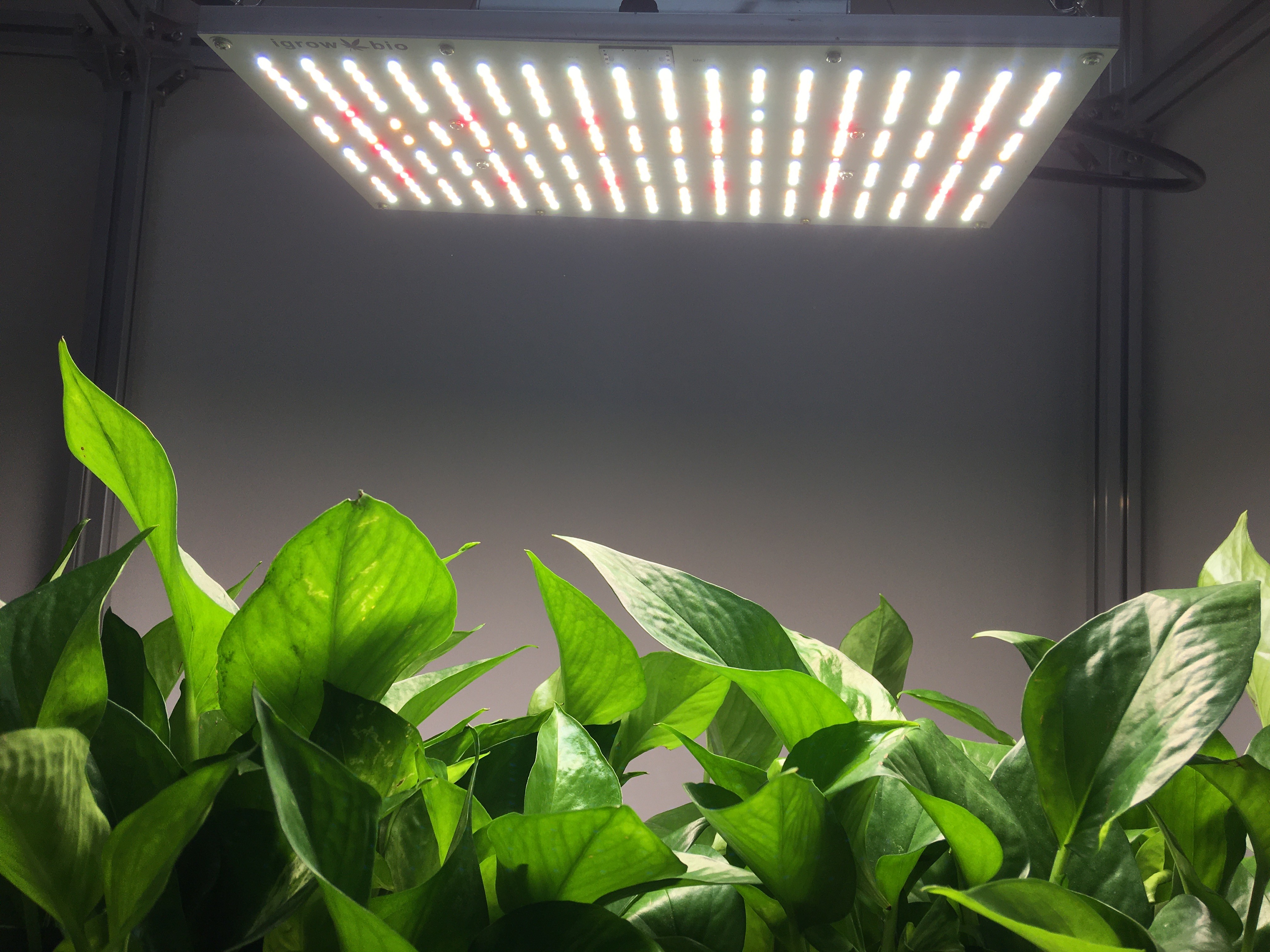 120W Samsung LM301H High PPFD Grow Light With Powerful Heatsink
