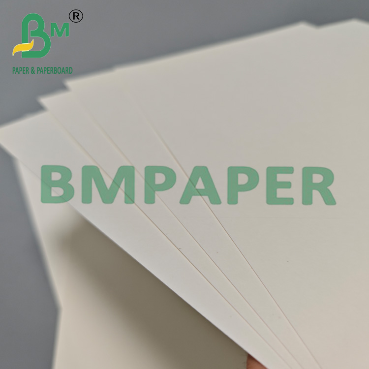 210gsm 230gsm Biodegradable Hot Coffee Tea Cup Paper Raw Material