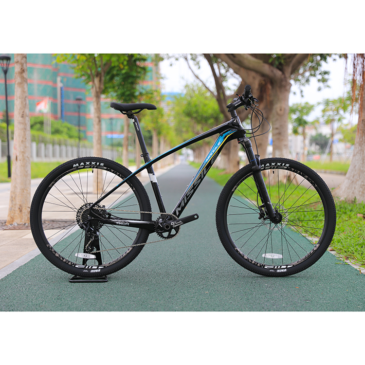 Affordable 11 Speed Mountain Bike with Fork Suspension and Hard Frame Non-rear Damper