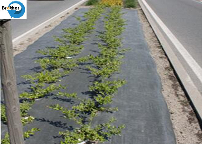 PP Slit Film Woven Weed Control Ground Cover Membrane Landscape Fabric