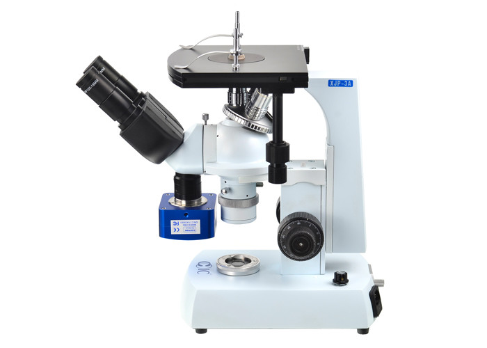 40X Inverted Fluorescence Microscope High Level COIC Brand XJP-3A
