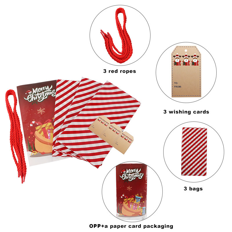 Large Reusable 50 Microns Custom Plastic Gift Bags For Holiday