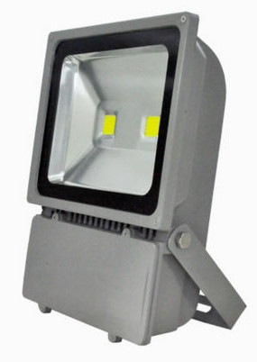 50w aluminum cob led flood light super bright waterproof IP67 LED garden lighting ip67