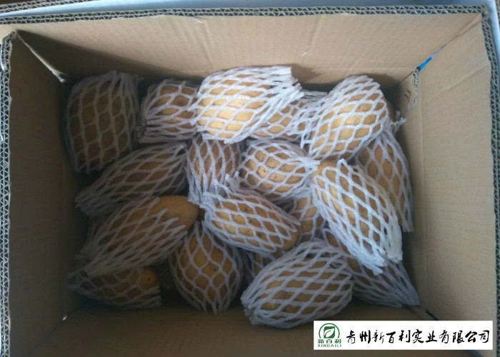 Delicious Fresh Potato Can Used As A Vegetable Or As A Staple Food