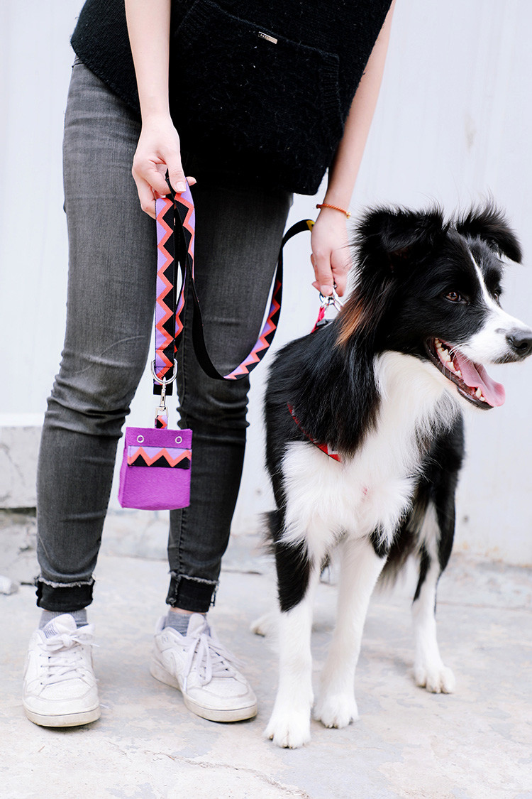 Felt Soft Pet Dog Walking Poop Bag Holder Cute Dog Waste Bag Holder