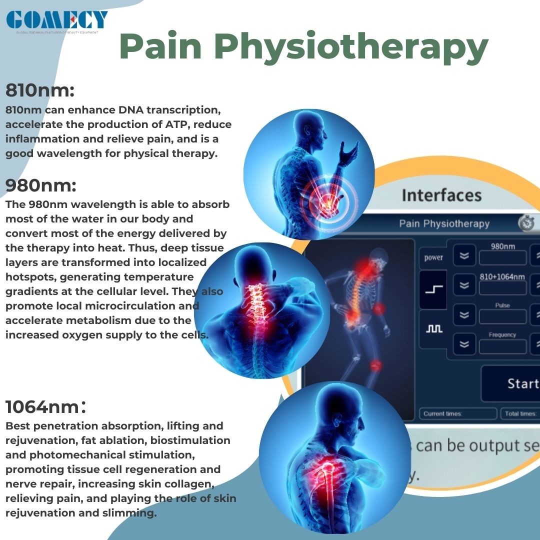 Laser Therapy Device Class Iv Laser Physical Therapy 810 980 1064nm Laser Therapeutic Apparatus
