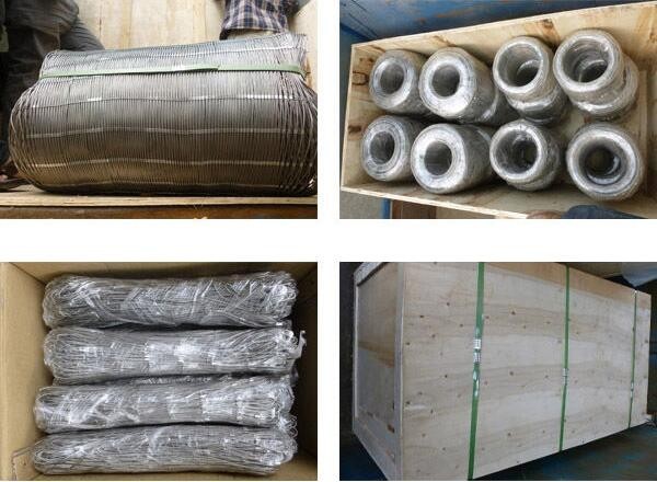 stainless steel rope mesh netting