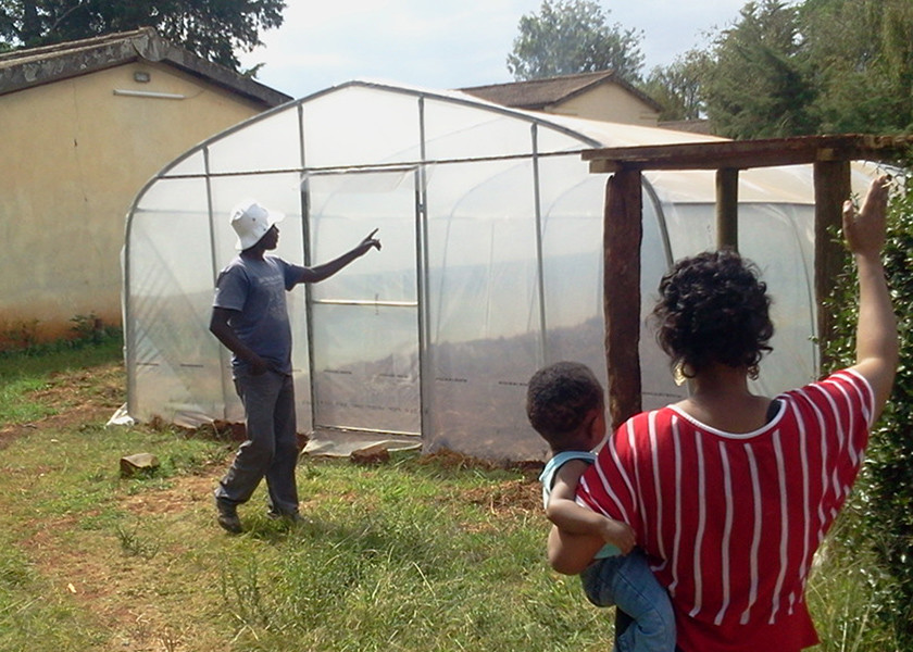 All Season Use Diy Small Greenhouse Walk In Greenhouse Kit For Garden