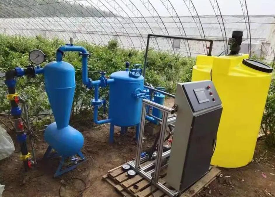 Commercial Tomato Planting Sunlight Greenhouse Solution