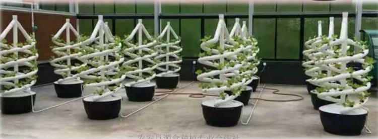 Soilless Culture Biological Control Double Helix Hydroponic Tube For Indoor