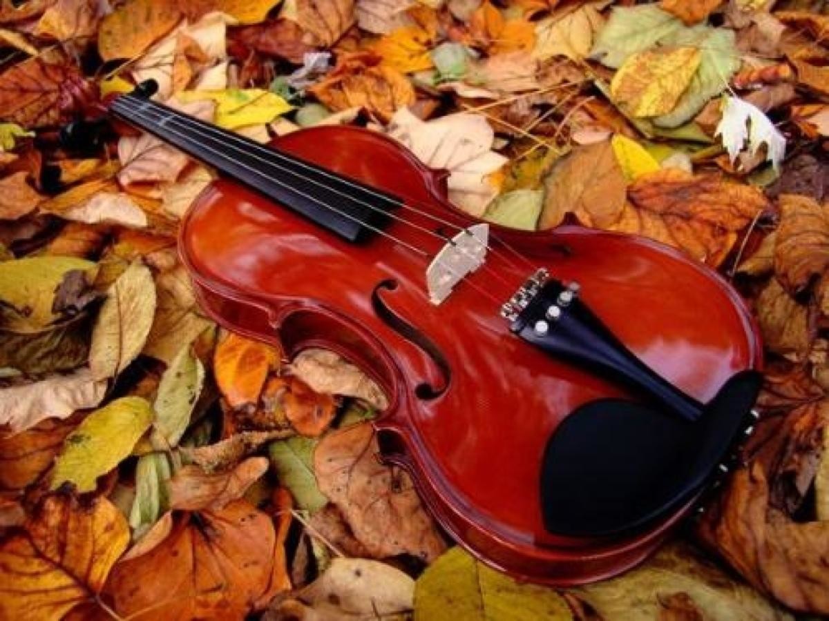 Violin china Cheap 2/4 3/4 4/4 Basswood Violin Music Instrument With Violin Case For Beginner And Children violin conce