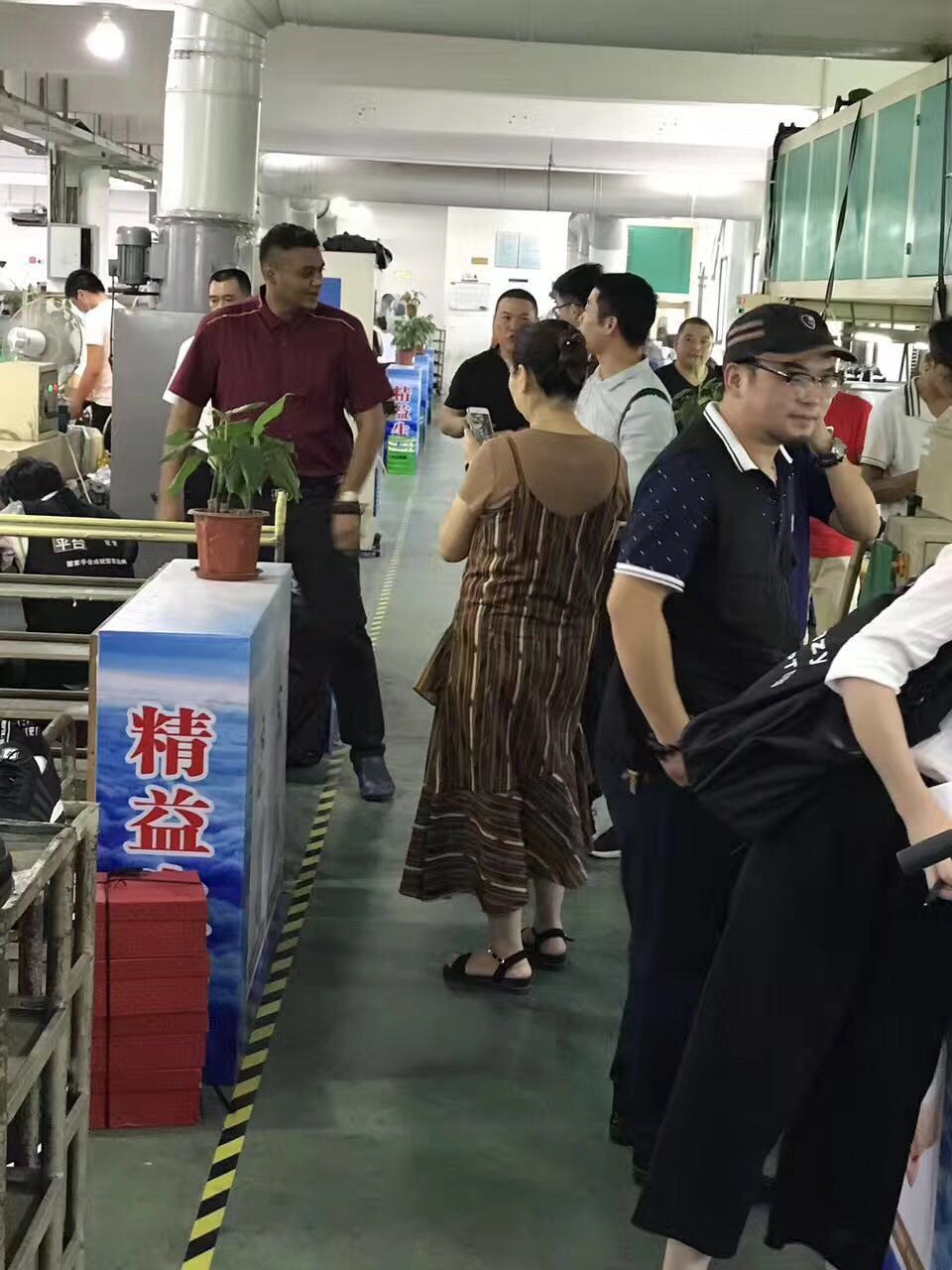 Luggage, Shoes Leather production Zipper High Car Sewing Machine in production line