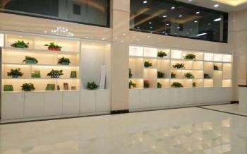 Witgain Technology Ltd