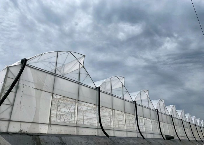 150-200micro Plastic Film Greenhouse Four Seasons With Whole System Flowers Vegetables Plants