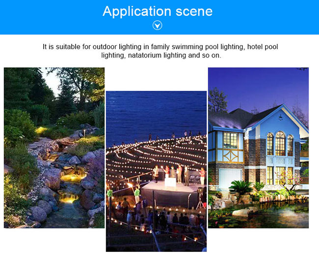 DC 24V 9W DMX512 Pin Type Bulb Waterproof IP68 SS316L Material RGB Switch Control