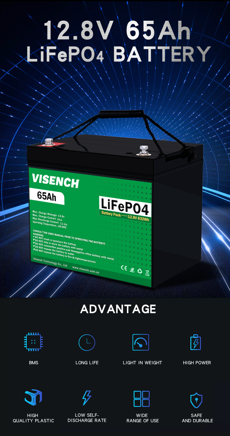 Visench Litium Batterie Li Ion Lithium Lifepo4 12V 65Ah Solar Energy System Battery