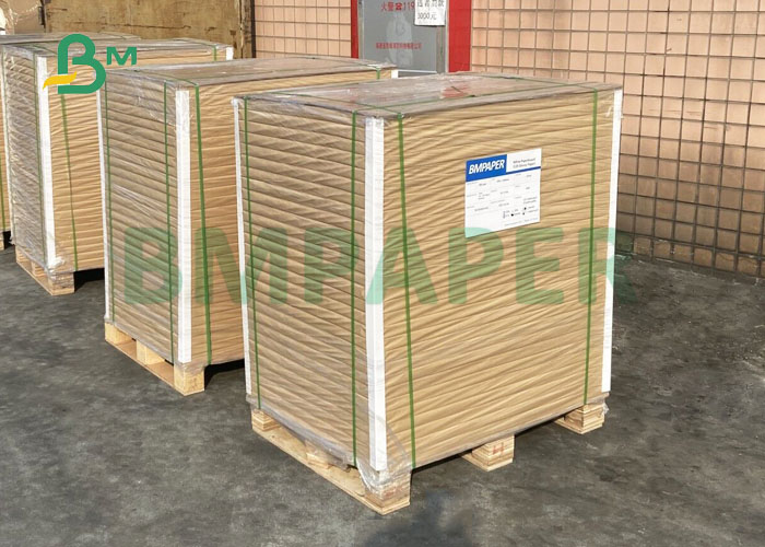 170gsm 250gsm C2S Glossy Art Paper Offset Printing In Sheet 70 x 100CM
