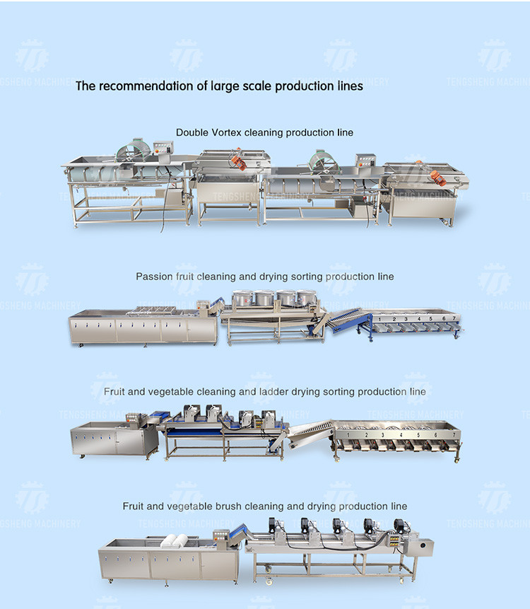 Stainless steel production line hoist food lift conveyor belt all kinds of fruits and vegetables lift conveyor