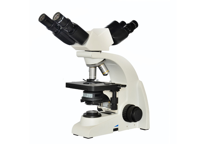 Optical 100x Magnification Microscope For School Education Teaching