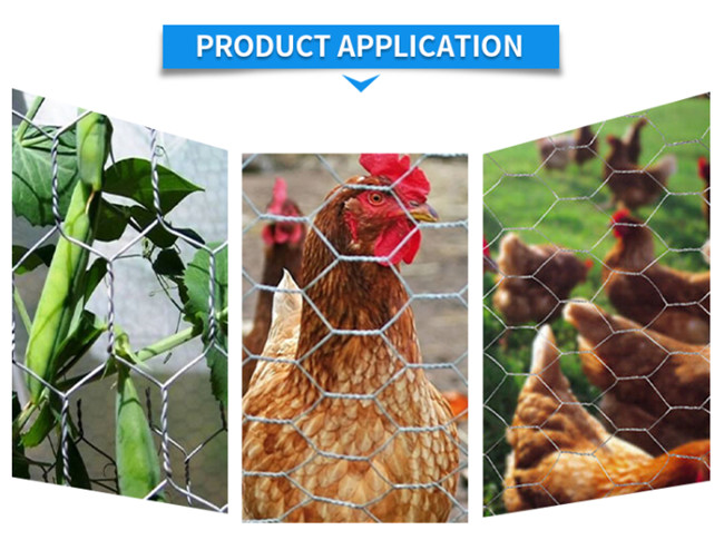 1/2in Hex Chicken Mesh Fence 2ft X 100ft BWG 27 Reverse Twisted