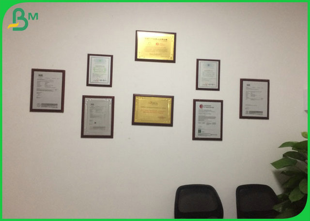 300GSM 610*860MM White Color C1S Ivory Board Fold With FSC Certification 
