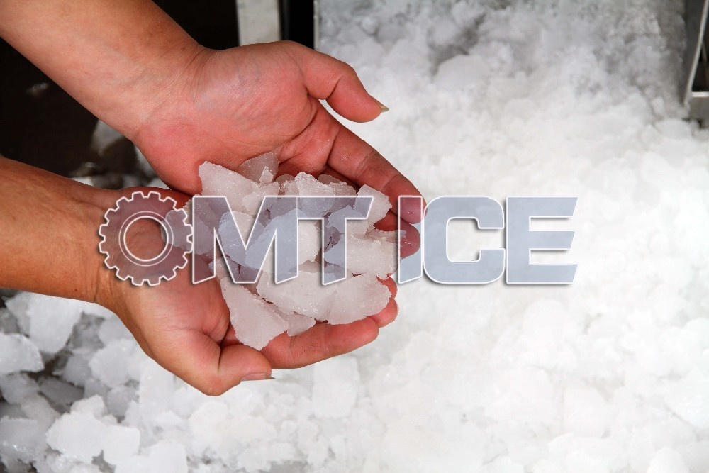 Customized Ice Crushing Machine 10 Tons Multipurpose For Seafood And Vegetables
