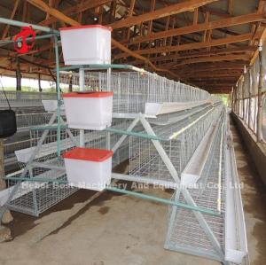 China 200 Birds A Type Poultry Battery Cage System For Layers Broilers Chicks Star on sale