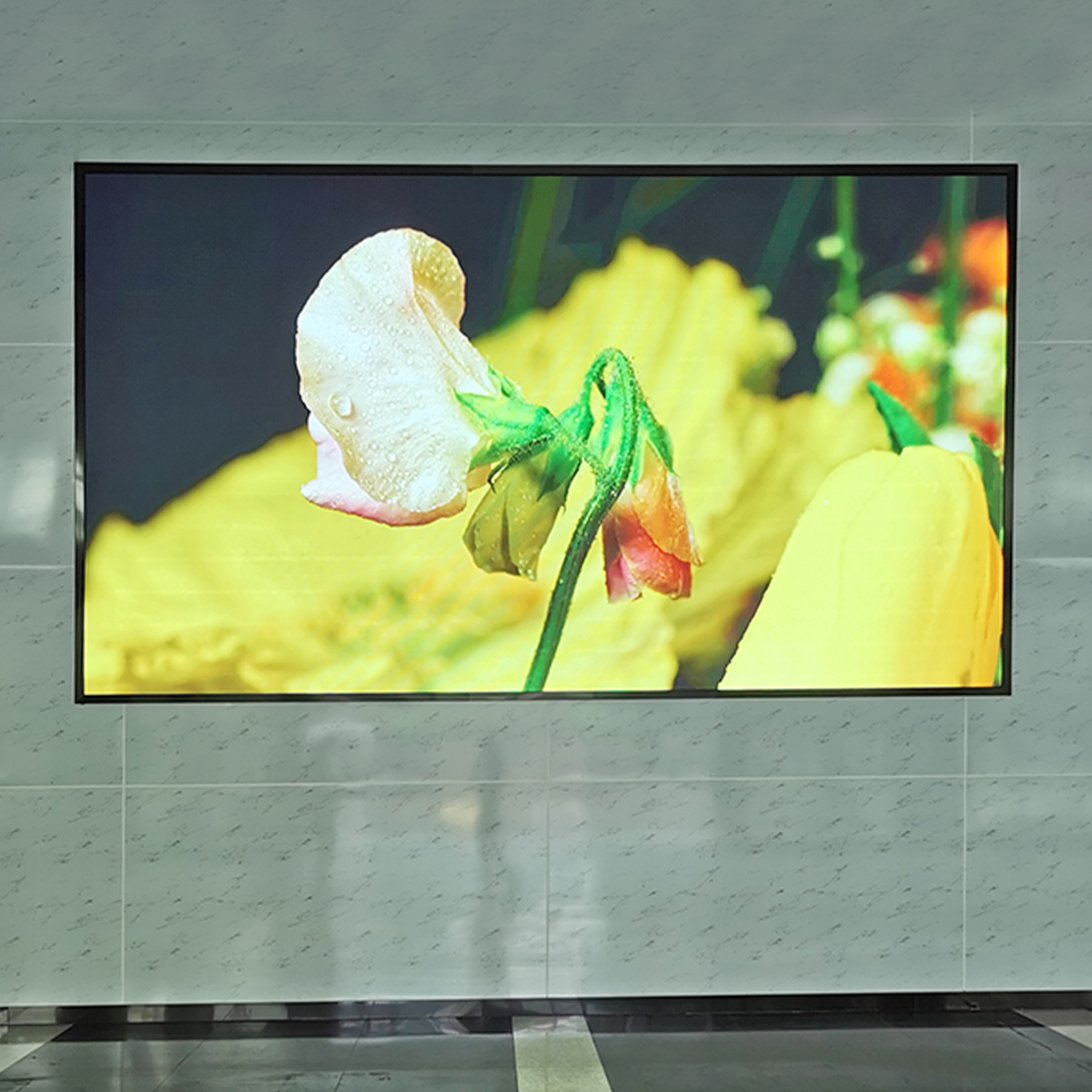 P2.5 Indoor Fixed LED Display HD LED Display SMD2121 For Meeting Room Control Center