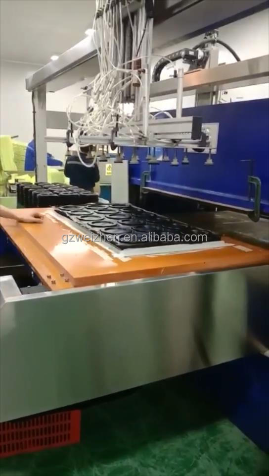 250 Stroke Full Automatic PVC/PET/PE/PS Plastic Blister Hydraulic Die Cutting Machine with Mechanical Claw