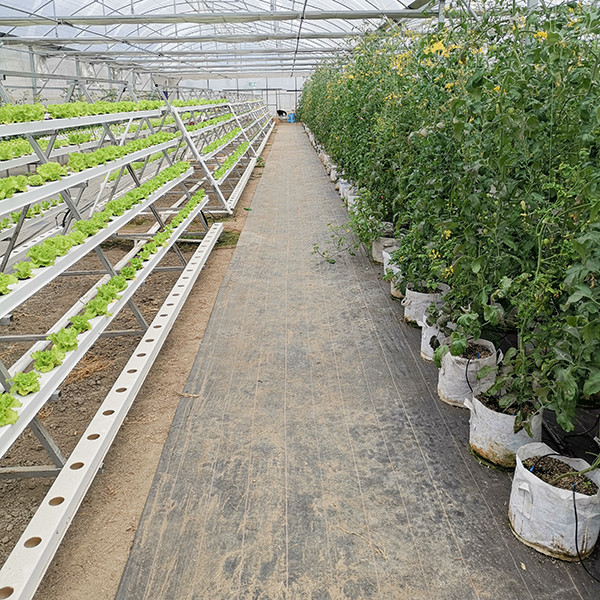 Vertical NFT Hydroponics System With Food Grade PVC Channel Space Saving