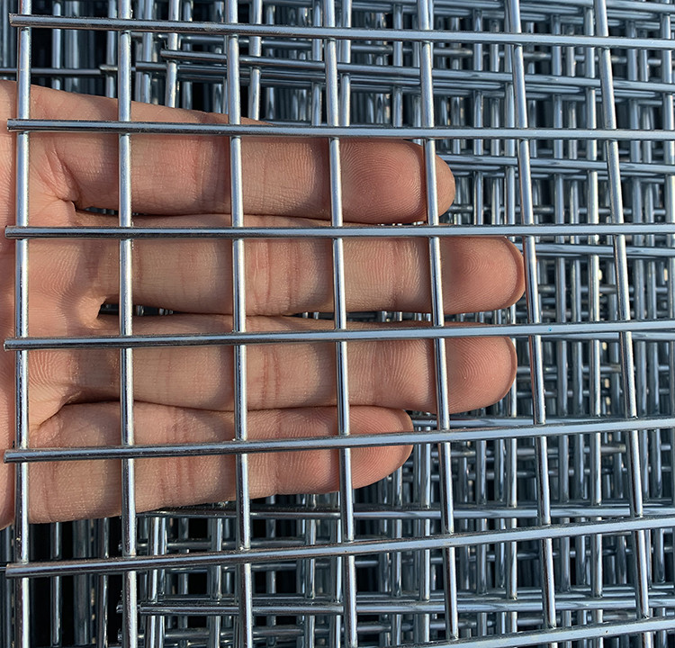 2.5x2.5cm Hole Size Galvanized Iron Welded Wire Mesh Roll For Netting Floor