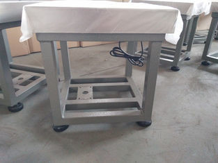 Industry blue Weighing platform Scale TFBS SS304 40cm 200 Kg IP66 Explosion Proof Bench size 380x380mm 220V/50HZ