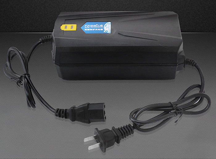 48V 54.6V 8.4 V Li Ion Battery Charger For Electric Motor Car Balance Bike