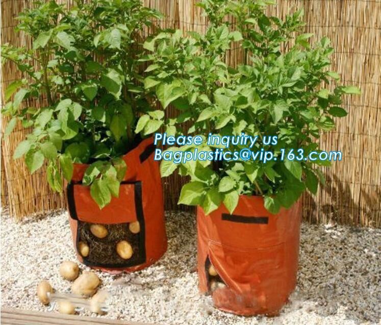 1 gal 2 gal 3gal 5gal 10gal black plastic grow planting greenhouse vegetable nursery bags,garden plant growing bag, bage
