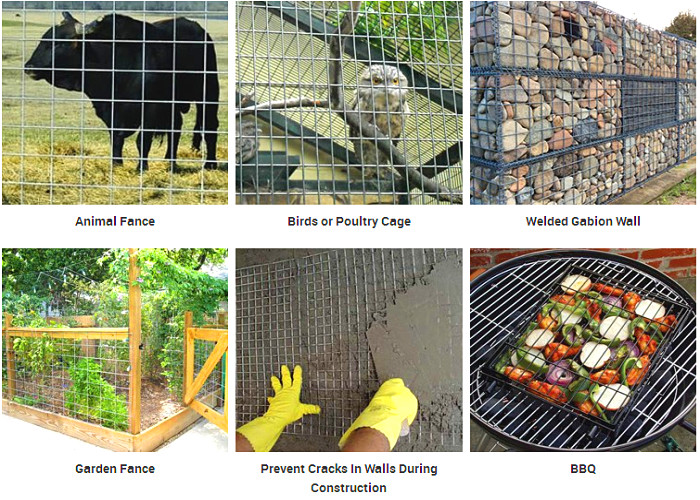 Heavy Welded Wire Mesh Oxidation Resistance , Galvanized Welded Wire Mesh Rolls
